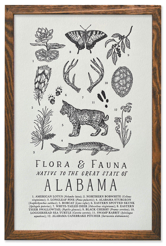 Alabama Field Guide Letterpress Print