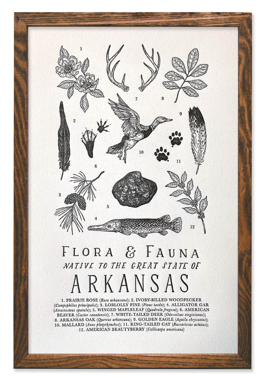 Arkansas Field Guide Letterpress Print