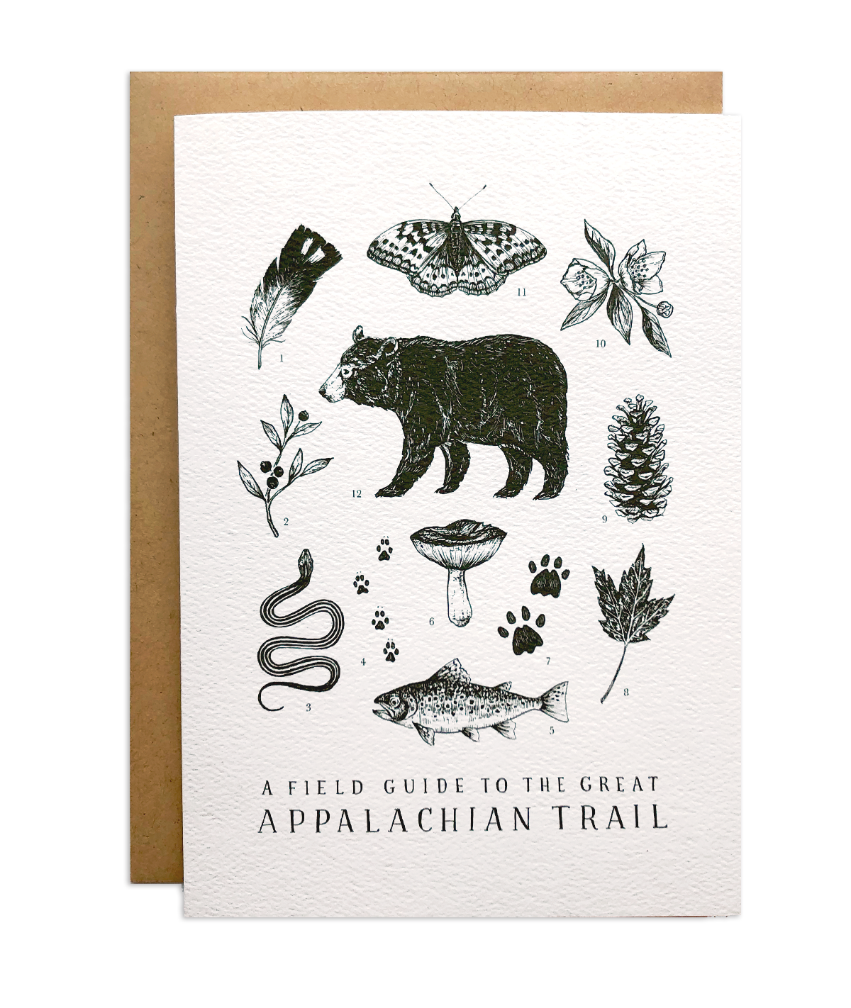 Appalachian Trail Field Guide Greeting Card