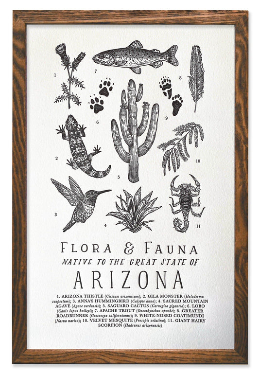 Arizona Field Guide Letterpress Print