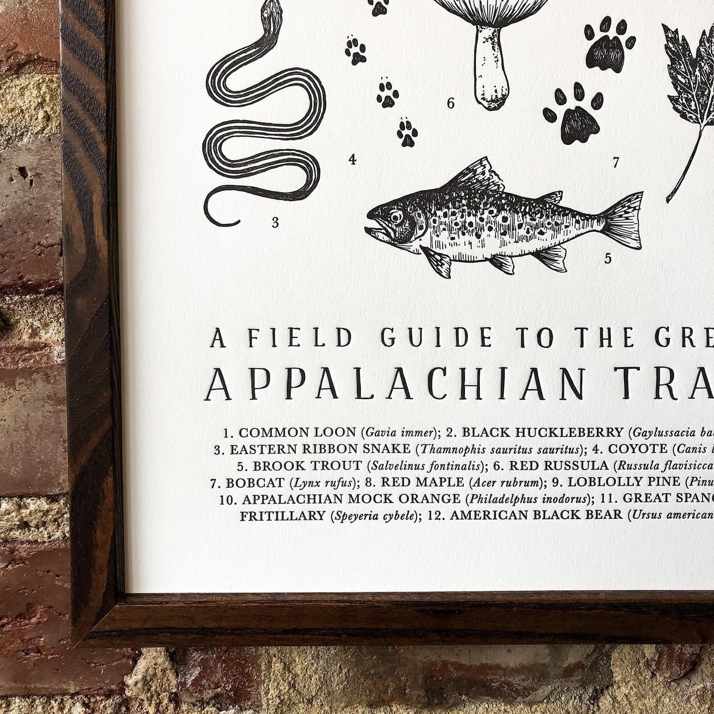 Appalachian Trail Field Guide Letterpress Print