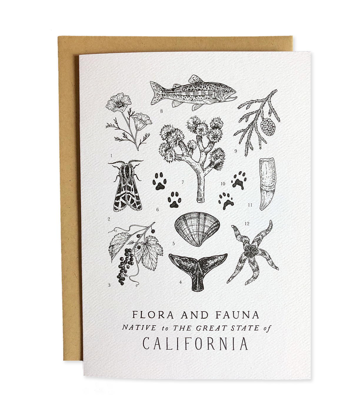 California Field Guide Greeting Card