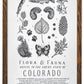 Colorado Field Guide Letterpress Print