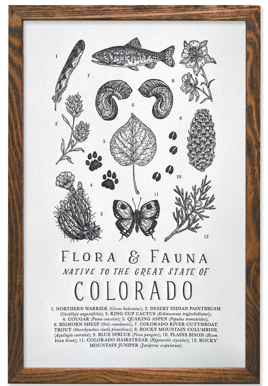 Colorado Field Guide Letterpress Print