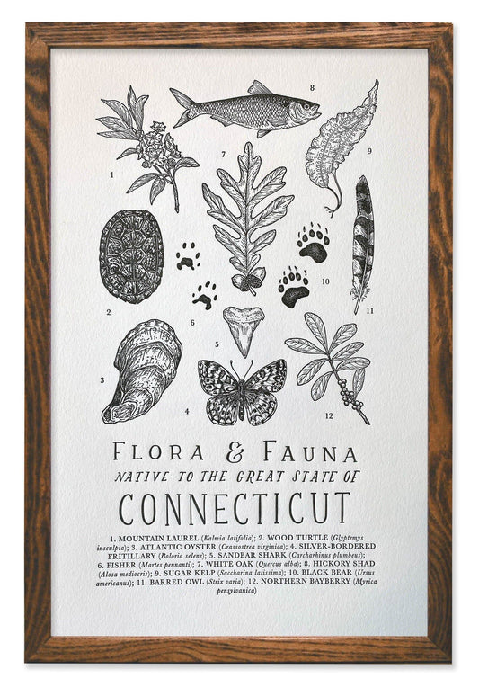 Connecticut Field Guide Letterpress Print