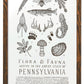 Pennsylvania Field Guide Print