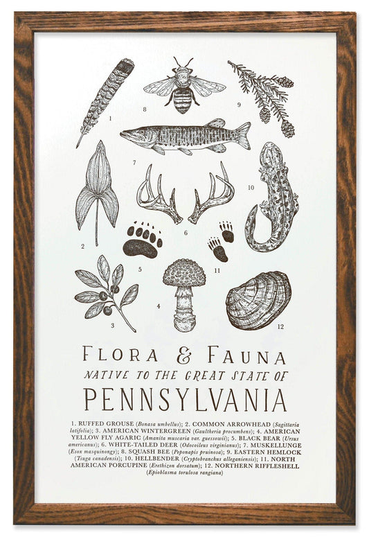 Pennsylvania Field Guide Print