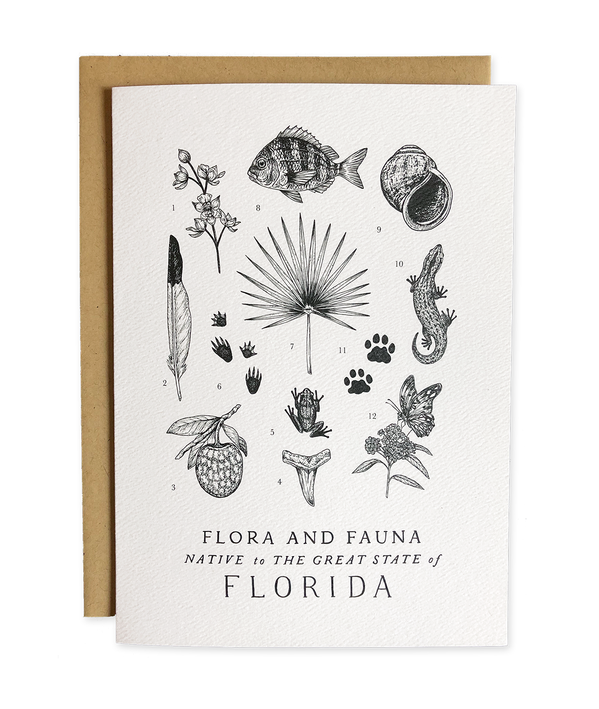 Florida Field Guide Greeting Card
