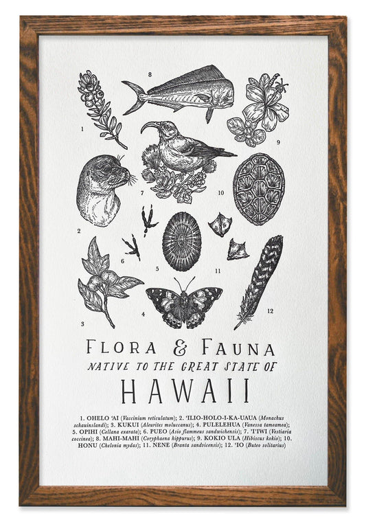 Hawaii Field Guide Letterpress Print