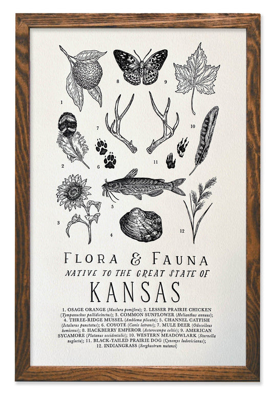 Kansas Field Guide Letterpress Print