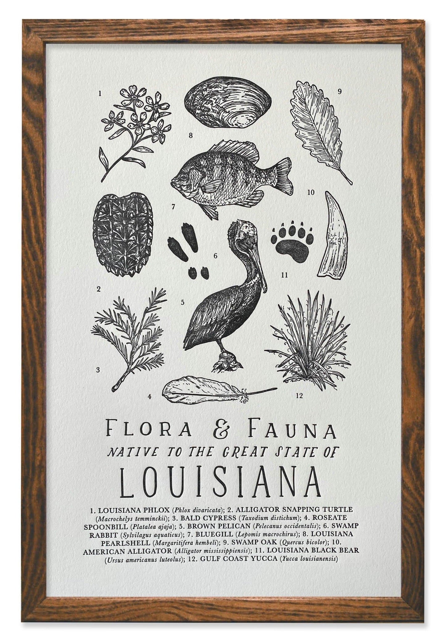 Louisiana Field Guide Letterpress Print