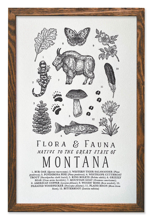 Montana Field Guide Letterpress Print