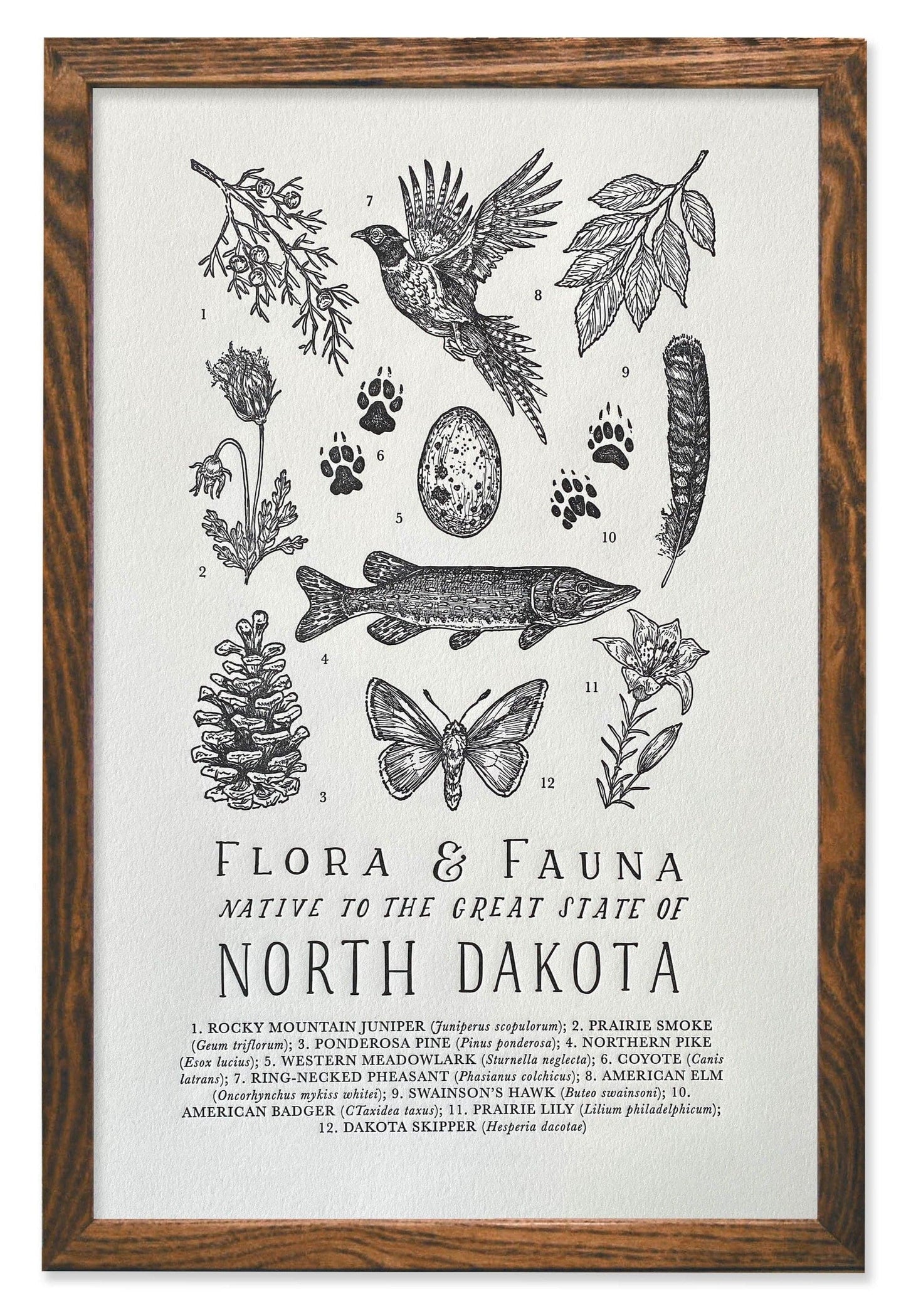 North Dakota Field Guide Print