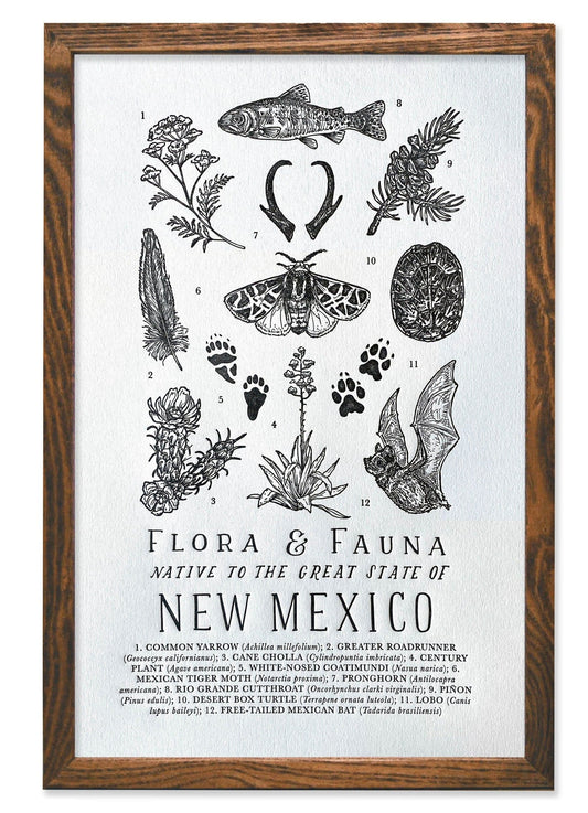 New Mexico Field Guide Letterpress Print