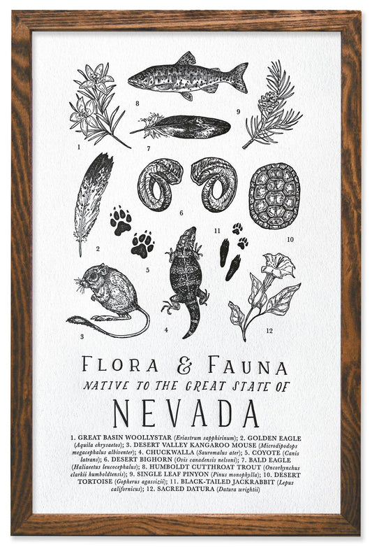 Nevada Field Guide Letterpress Print