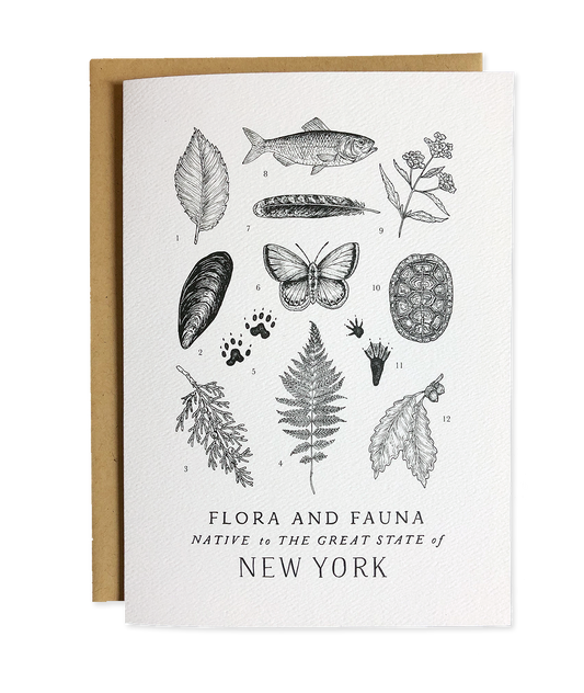 New York Field Guide Greeting Card