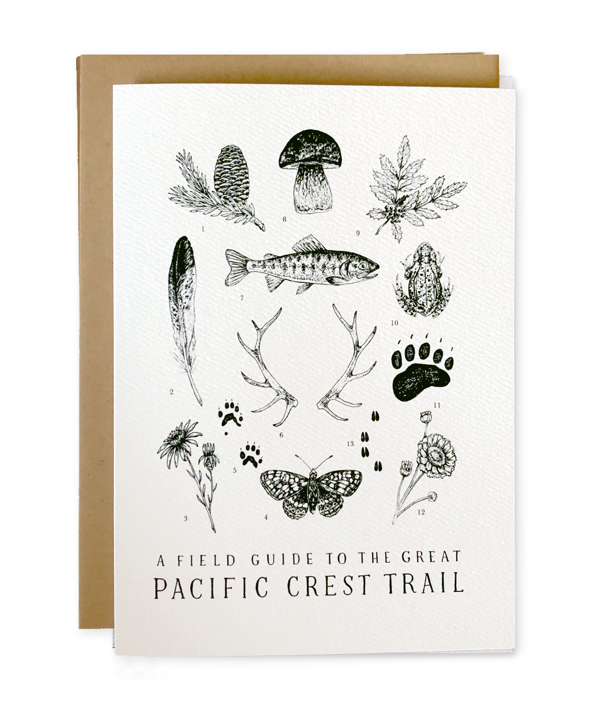 Pacific Crest Trail Field Guide Greeting Card