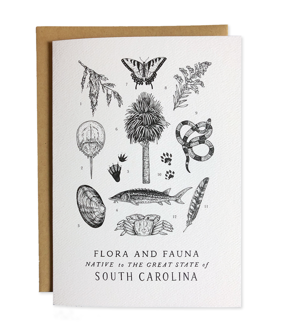 South Carolina Field Guide Greeting Card