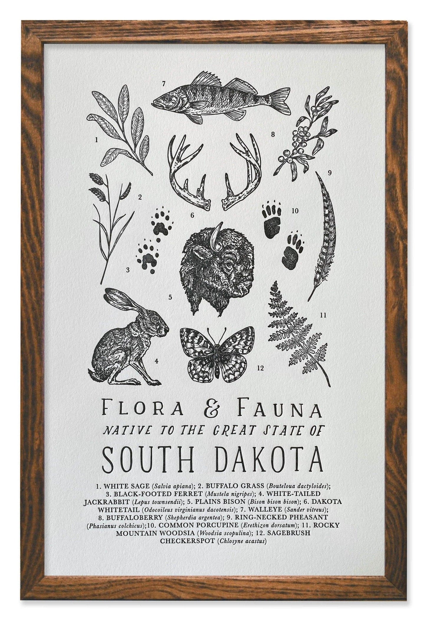 South Dakota Field Guide Letterpress Print