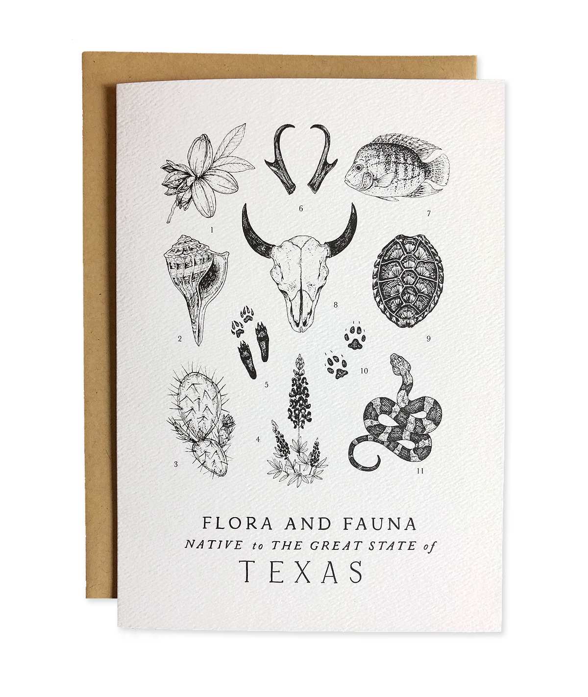 Texas Field Guide Greeting Card