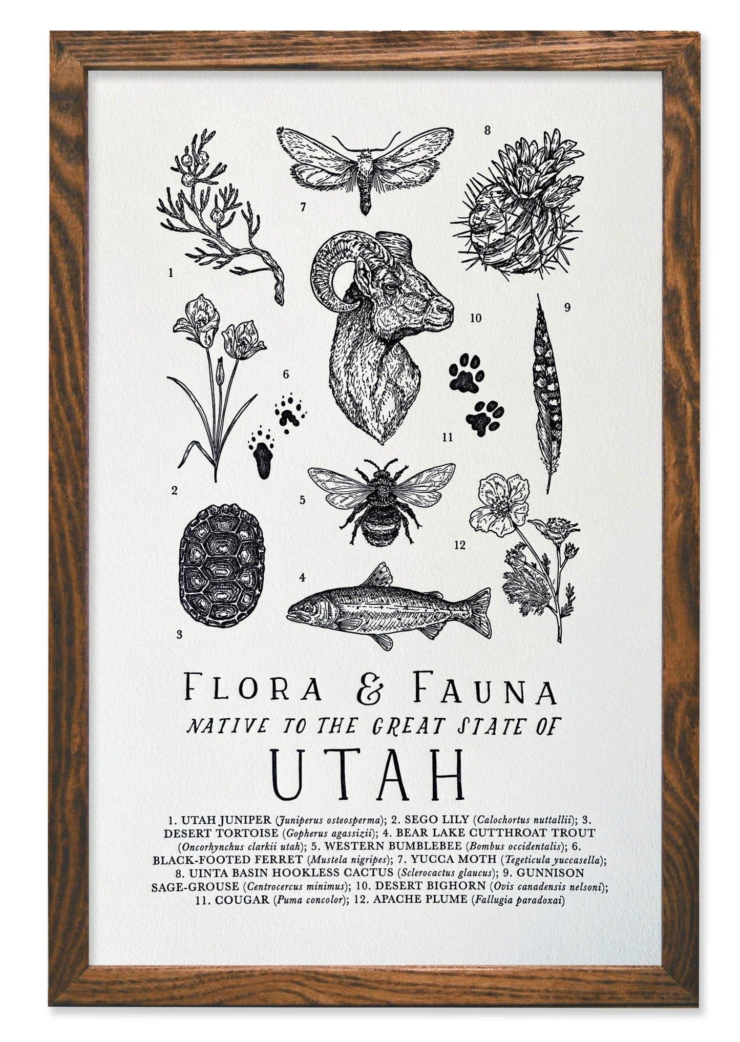 Utah Field Guide Letterpress Print