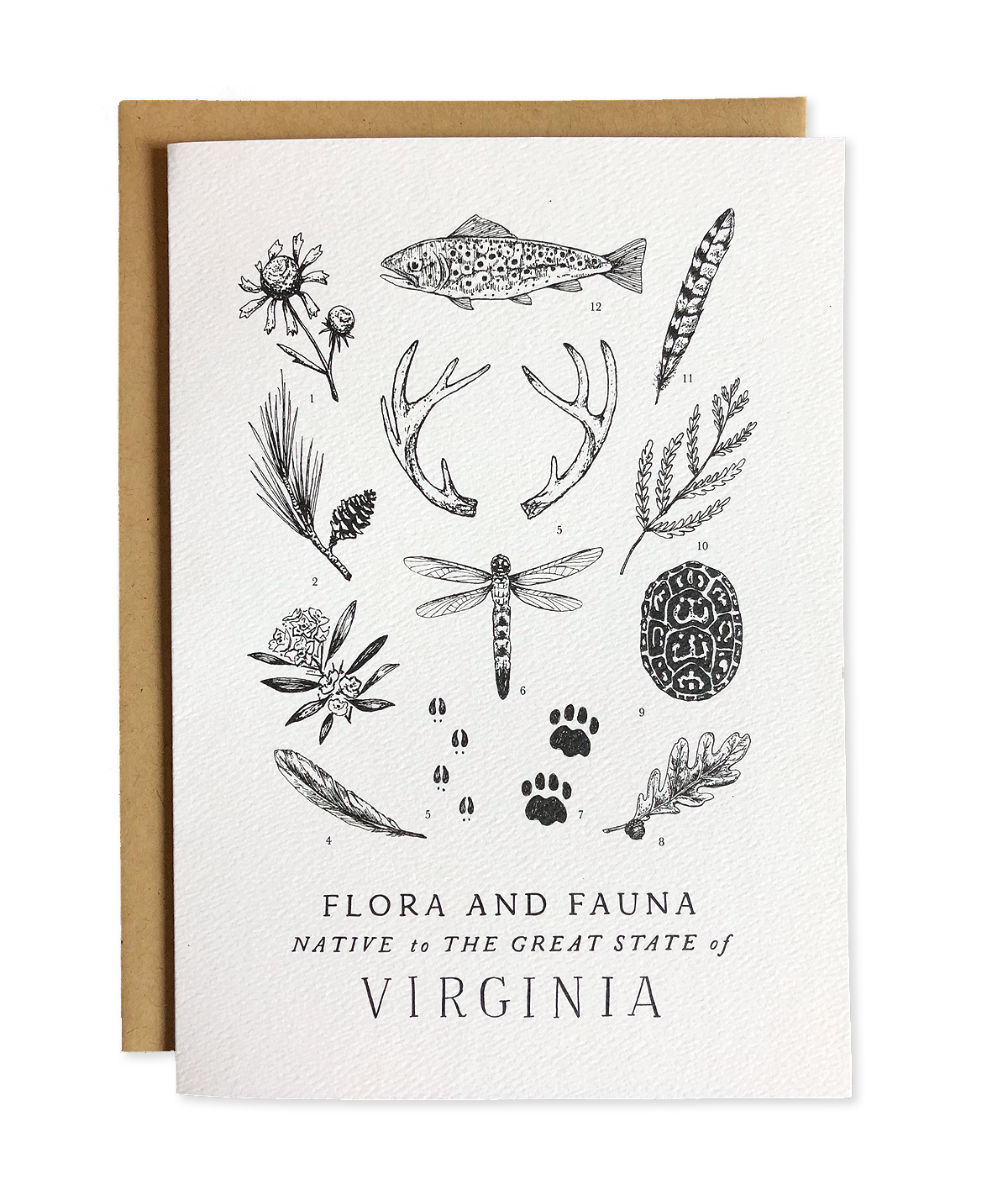 Virginia Field Guide Greeting Card