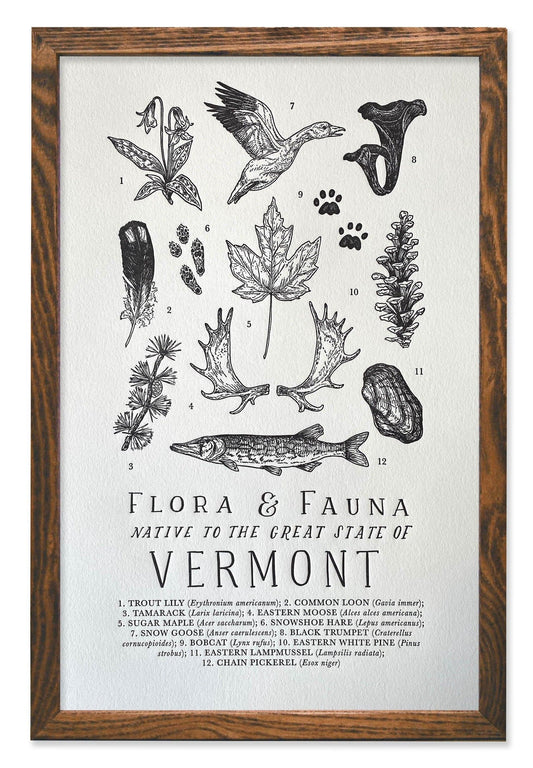 Vermont Field Guide Letterpress Print