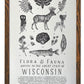 Wisconsin Field Guide Letterpress Print