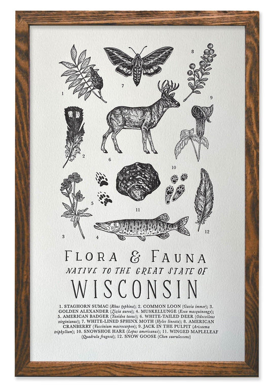 Wisconsin Field Guide Letterpress Print