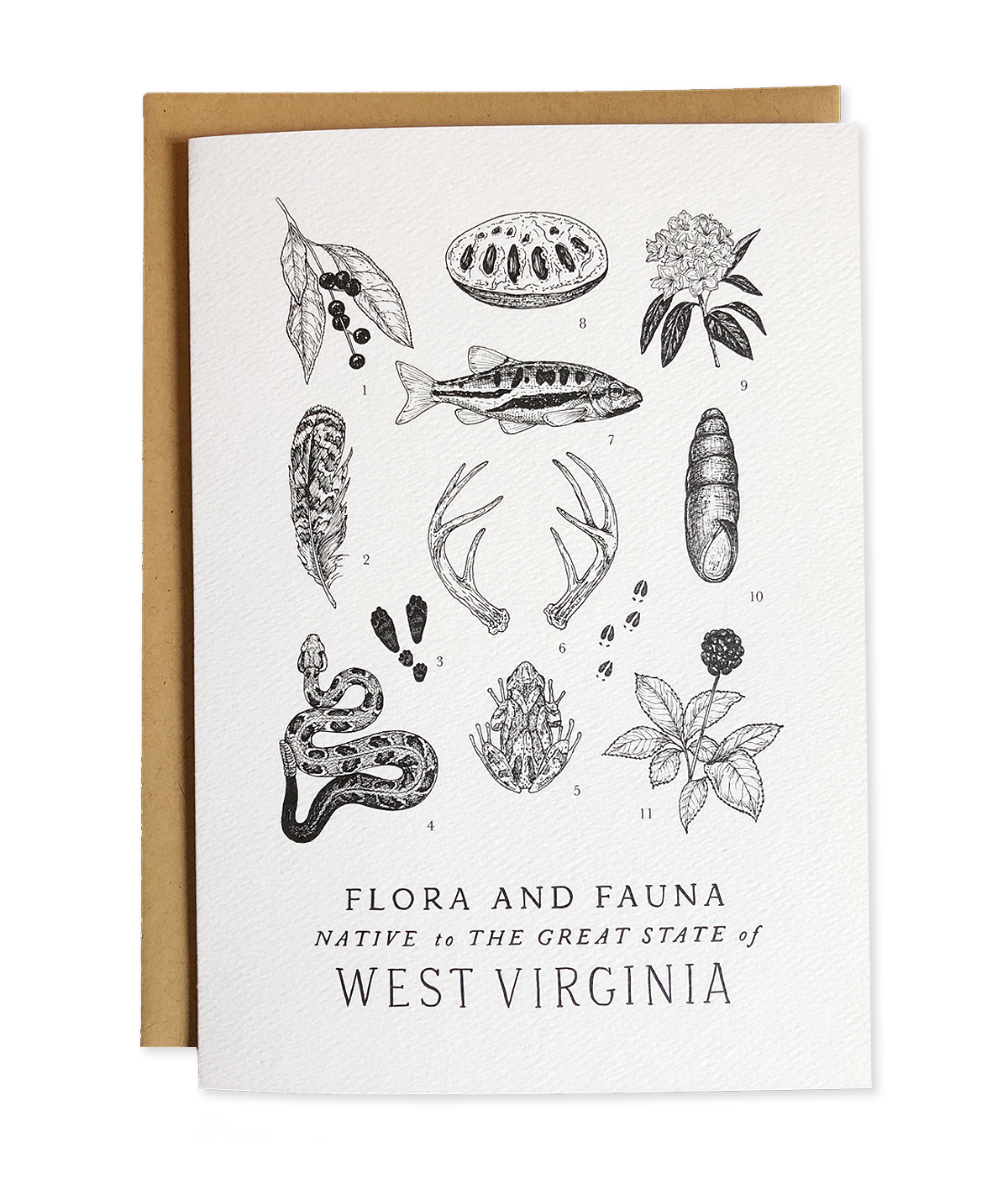 West Virginia Field Guide Greeting Card