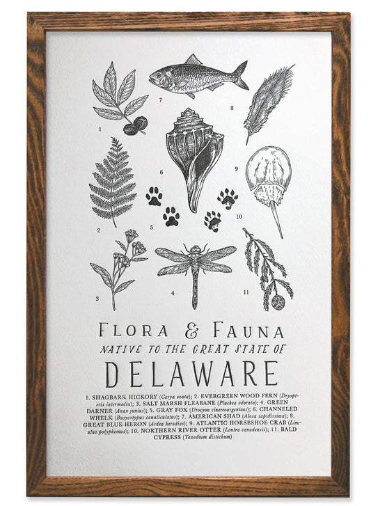 Delaware Field Guide Letterpress Print