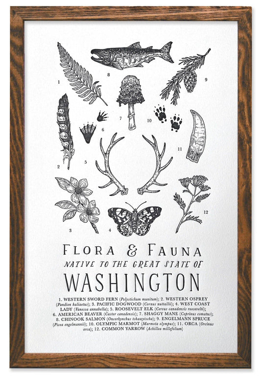 Washington Field Guide Letterpress Print
