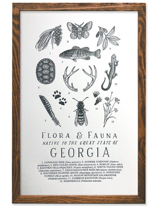 Georgia Field Guide Letterpress Print