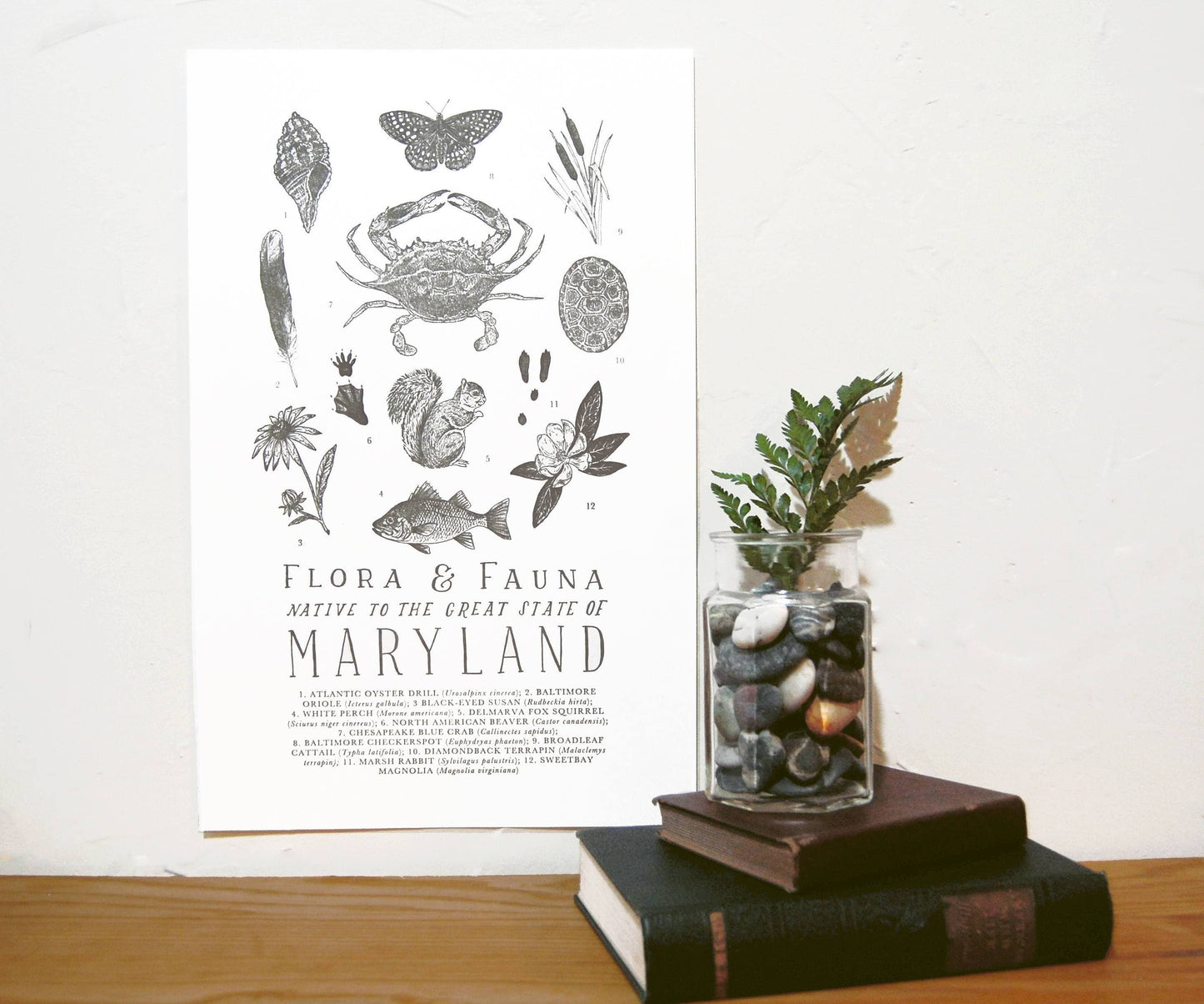 Maryland Field Guide Print