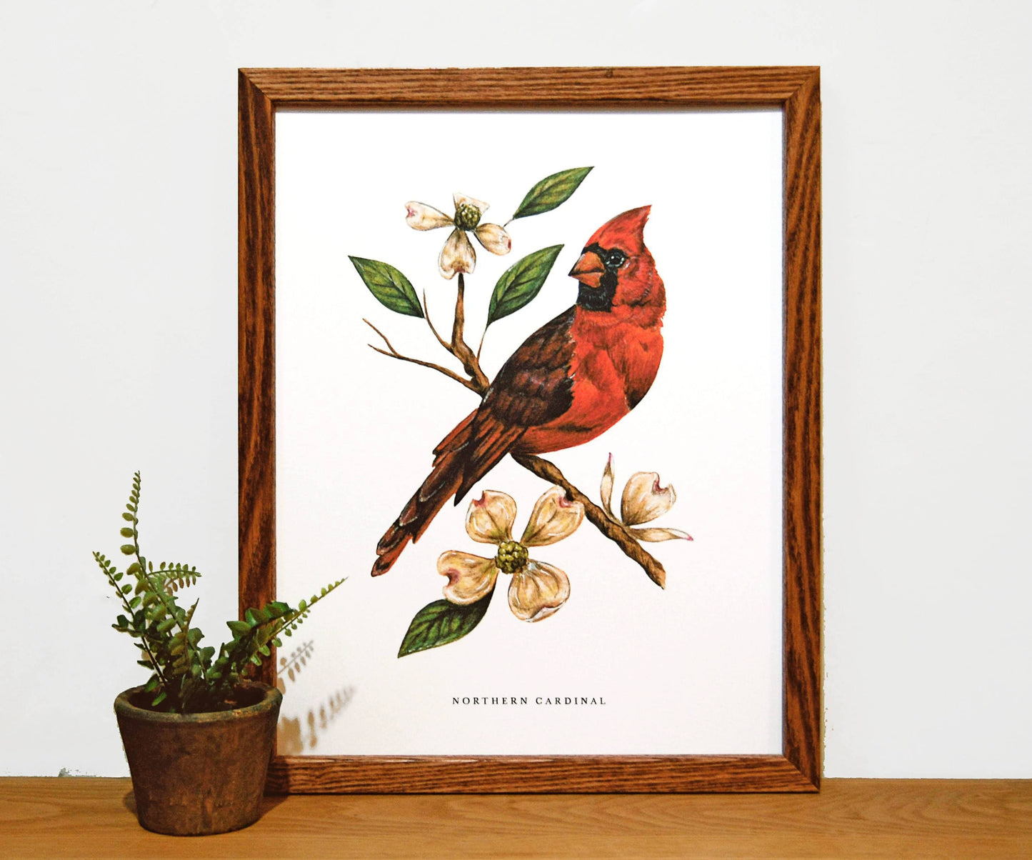 Cardinal and Dogwood 11x14 Print