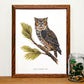 Great Horned Owl 11x14 Print