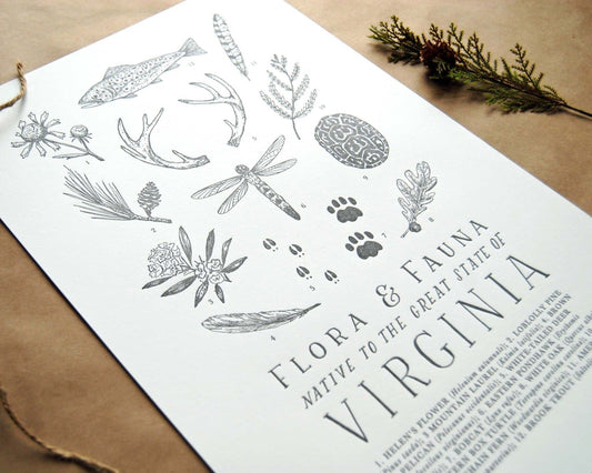 Virginia Field Guide Print