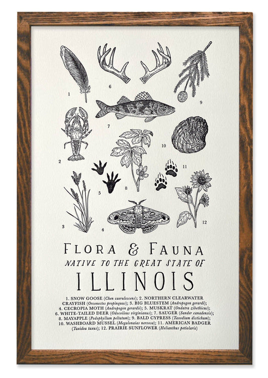 Illinois Field Guide Letterpress Print