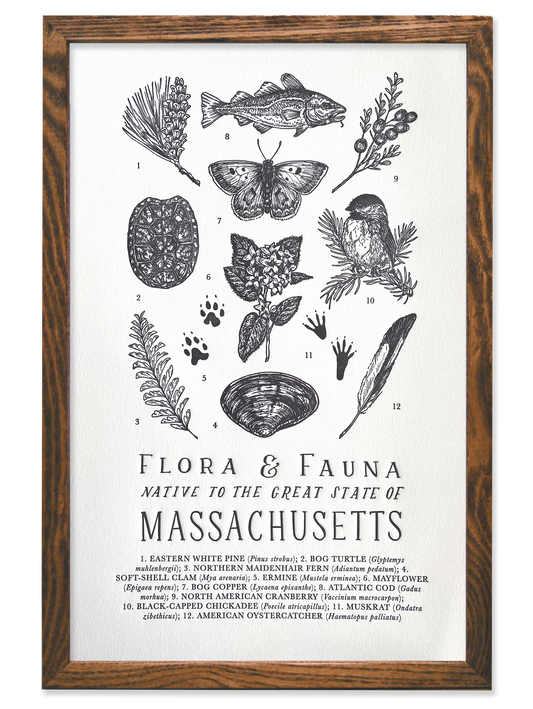 Massachusetts Field Guide Letterpress Print
