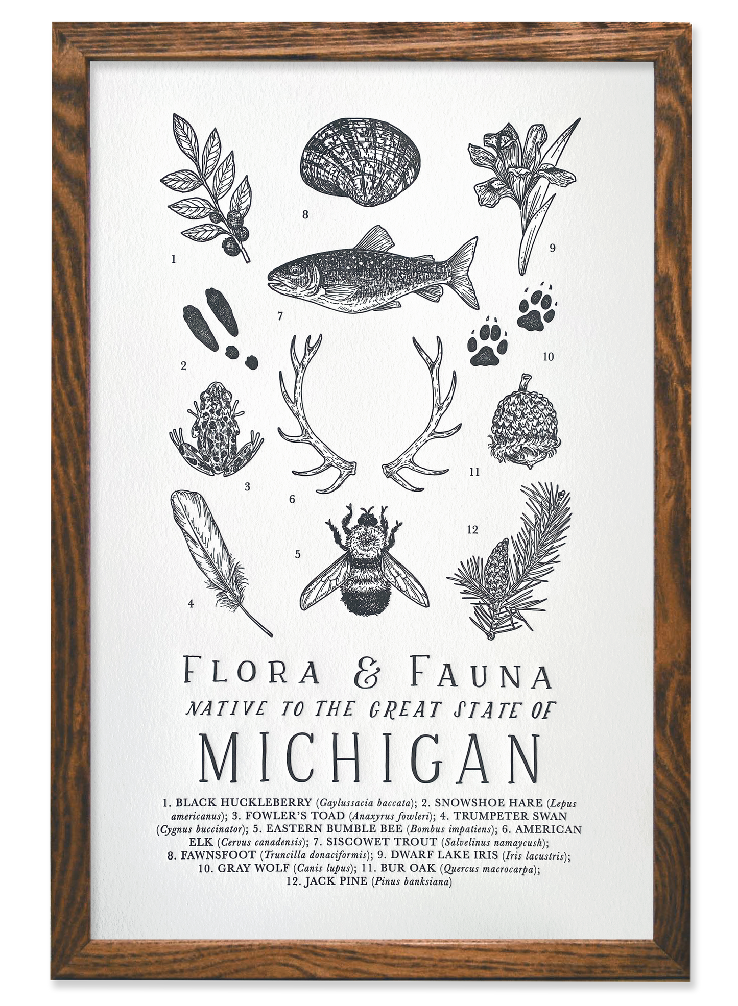 Michigan Field Guide Letterpress Print
