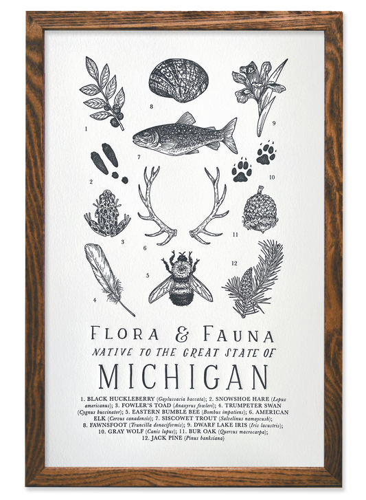 Michigan Field Guide Letterpress Print