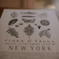 New York Field Guide Print