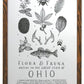 Ohio Field Guide Letterpress Print