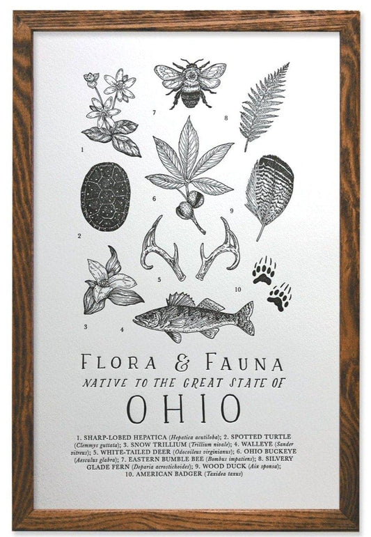 Ohio Field Guide Letterpress Print