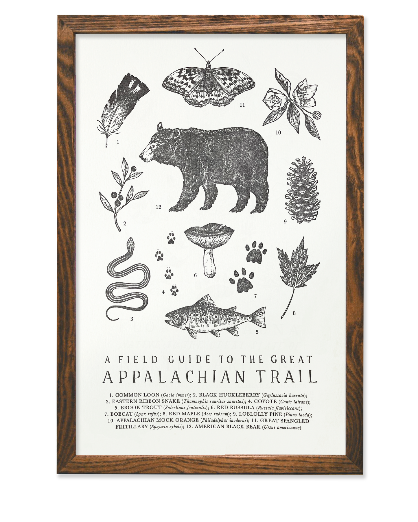 Appalachian Trail Field Guide Letterpress Print