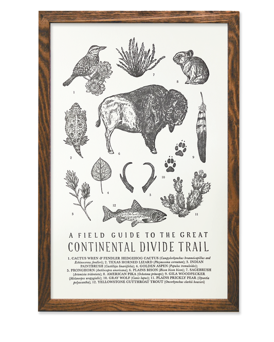 Continental Divide Trail Field Guide Letterpress Print