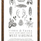 West Virginia Field Guide Print
