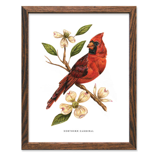 Cardinal and Dogwood 11x14 Print