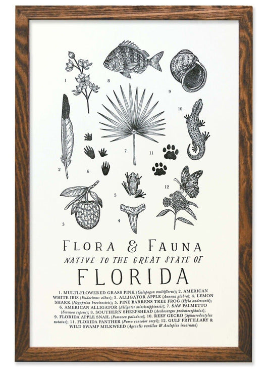 Florida Field Guide Print