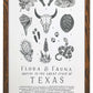 Texas Field Guide Letterpress Print